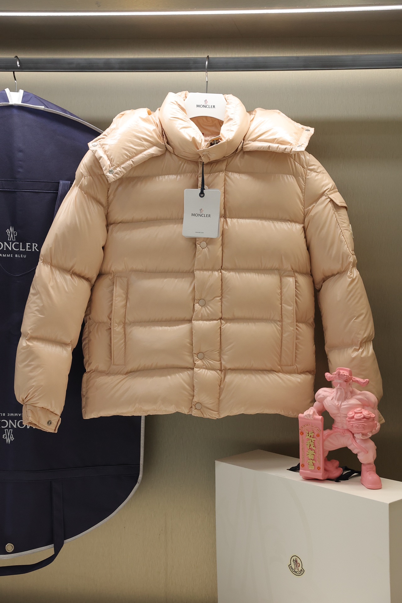 Moncler Down Jackets